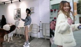 陈意礼真实爆料视频,揭秘娱乐圈不为人知的真相